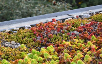 the cost of Sherford green roof installation