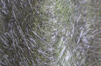 Sherford fibreglass roof work